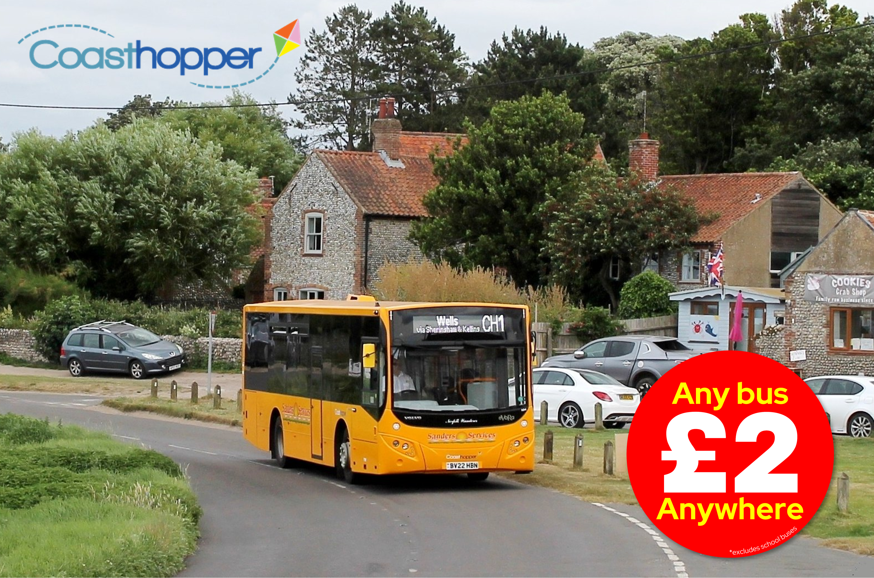 news-sanders-coaches